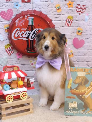 20230908リクくん